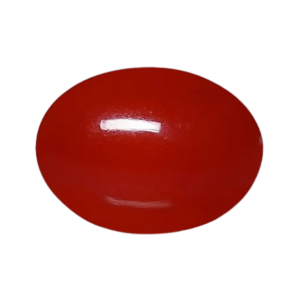 Natural Red Coral (Moonga) gemstone – oval shape with deep red color, used for astrological and healing